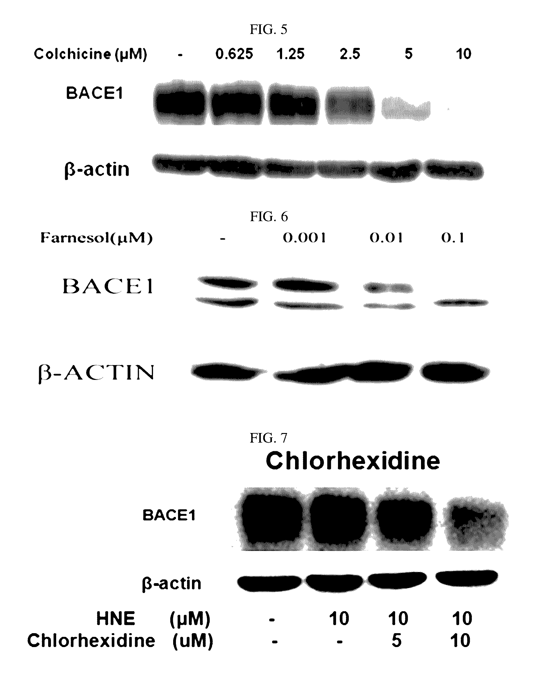 Composition for preventing or treating degenerative brain diseases including compound downregulating expression of BACE1 proteins
