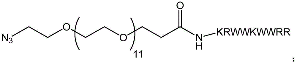 Titanium metal surface antibacterial treatment method