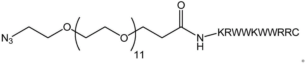 Titanium metal surface antibacterial treatment method