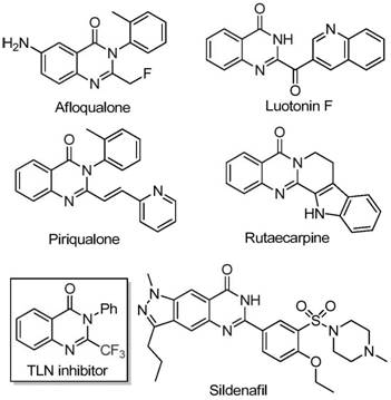 Preparation method of 2-trifluoromethyl substituted quinazolinone compound