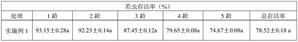 A method and application of large-scale rearing of red-colored stinkbug by using Chicory supercystis