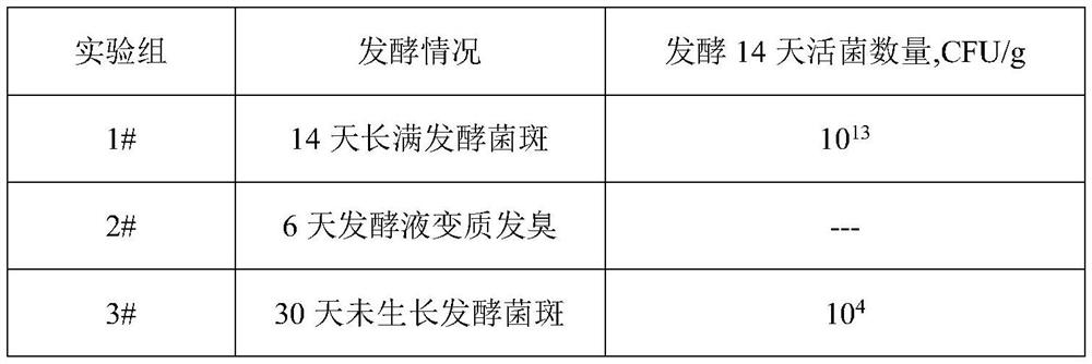 High-yield culture method for intercropping spotted silver carp, crucian carp, dace and black carp