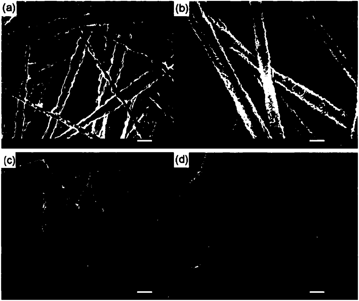 Polymer semi-permeable material