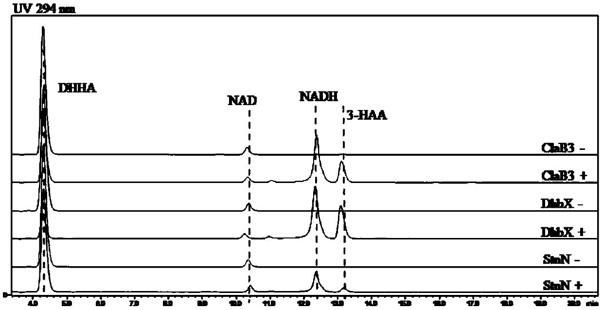 Biosynthesis method of nicotinamide adenine dinucleotide compound