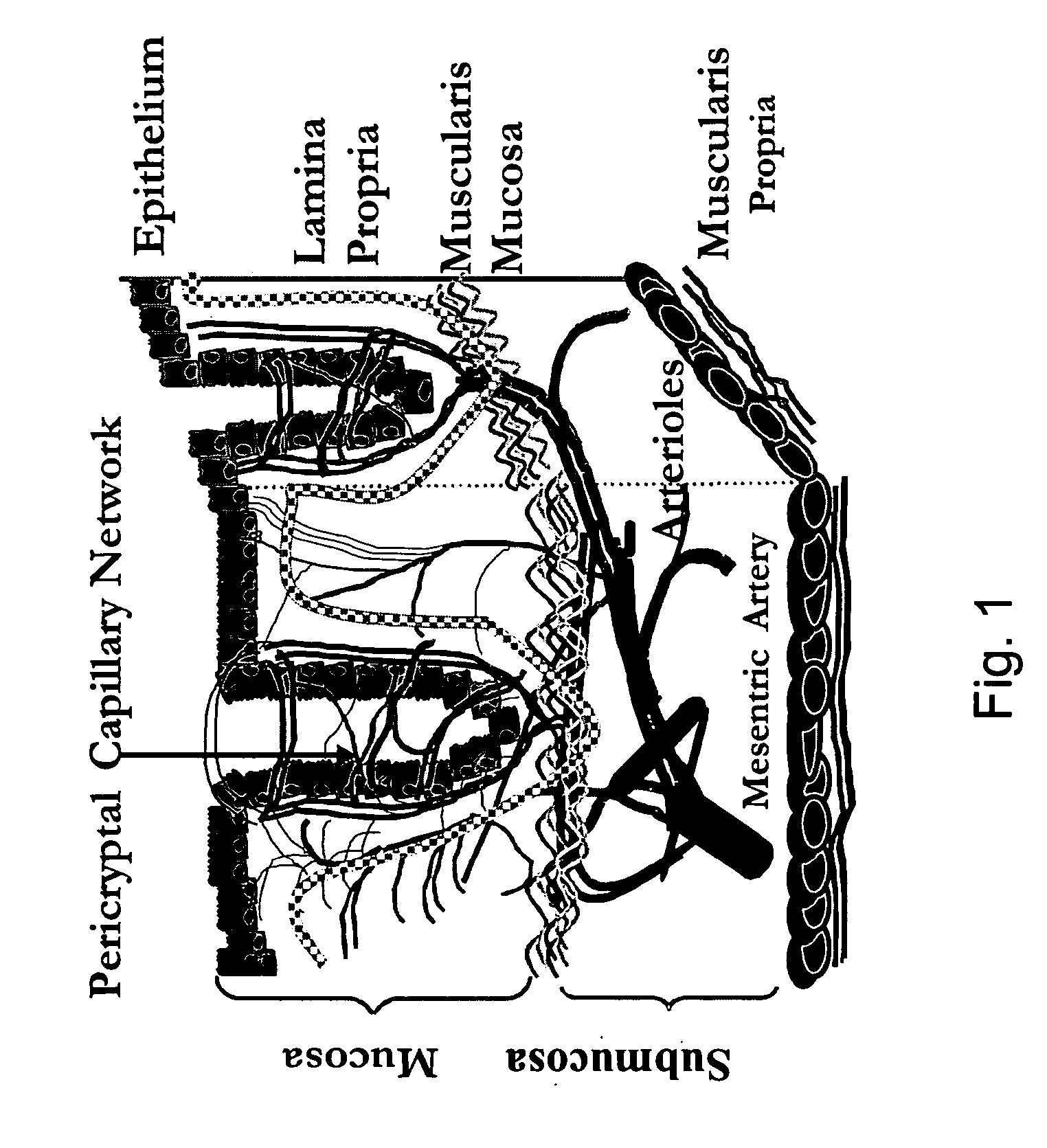 Method of recognizing abnormal tissue using the detection of early increase in microvascular blood content