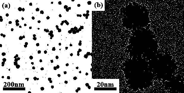 Method for preparing nano-dendritic platinum catalyst