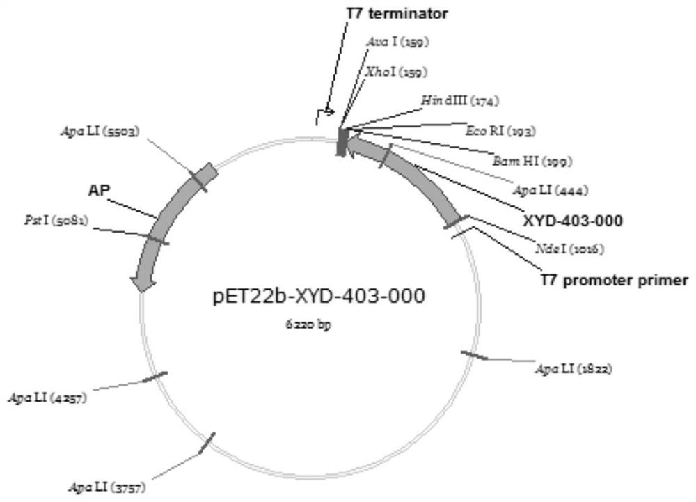 Nanoparticle based coronavirus vaccine