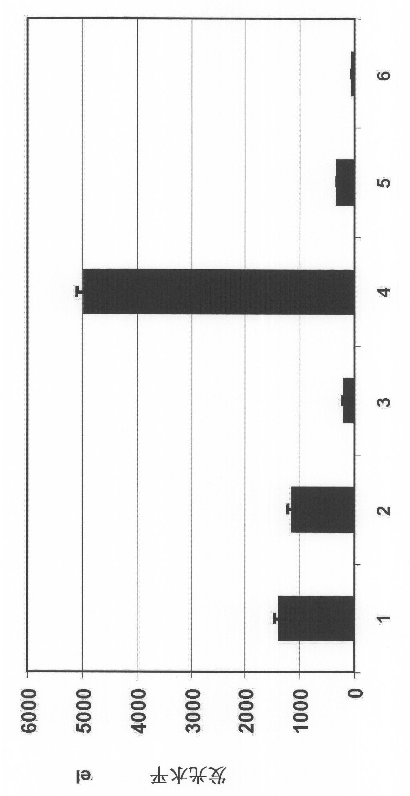 Rtef-1 variants and the use thereof for inhibition of angiogenesis