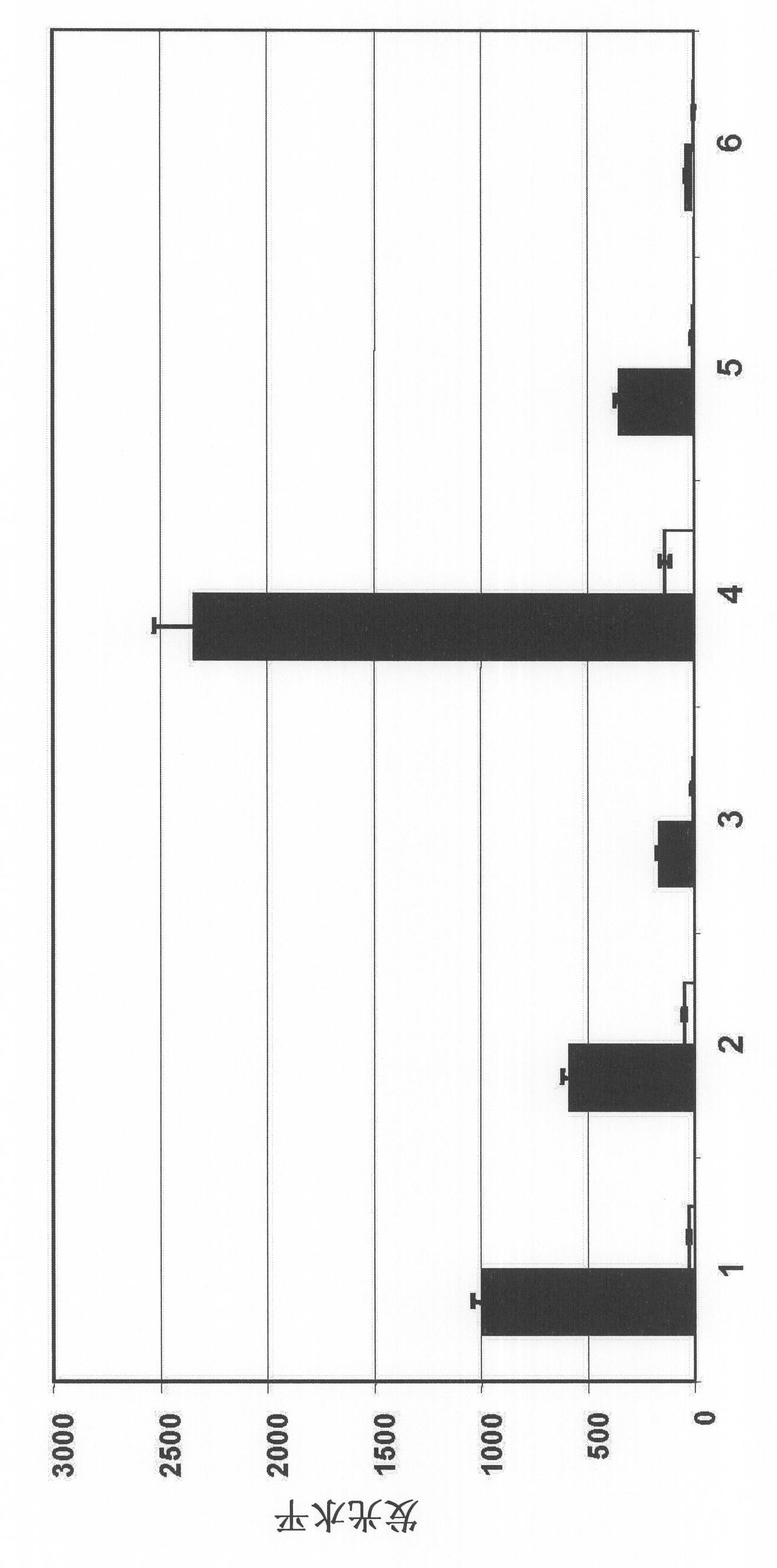 Rtef-1 variants and the use thereof for inhibition of angiogenesis