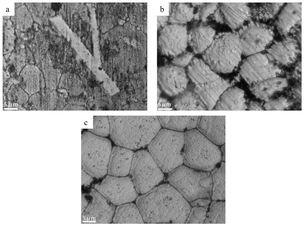 Metallographic corrosive agent suitable for multi-component aluminum alloy and corrosion method of metallographic corrosive agent