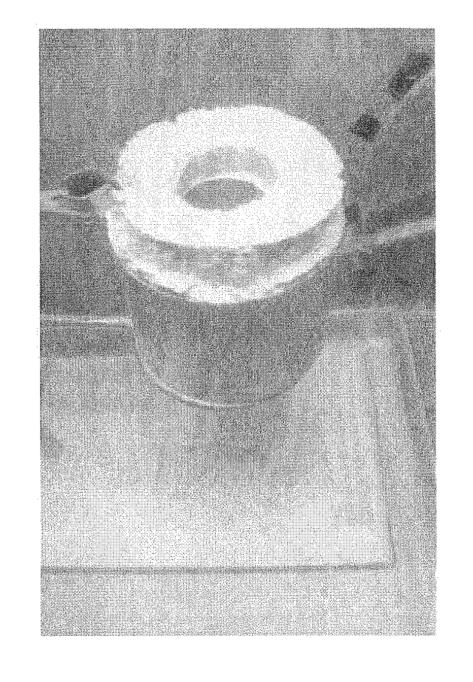 Method for treating a cladding containing sintered calcium hydride