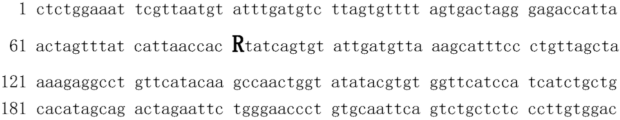 Kit for detection of oligospermia