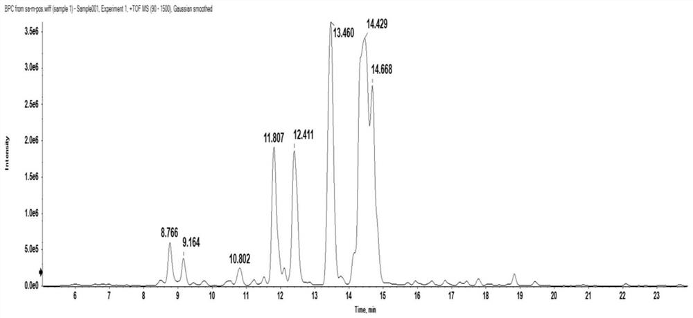 Preparation method of scopolamine alkaloid in przewalskia tangutica maxim