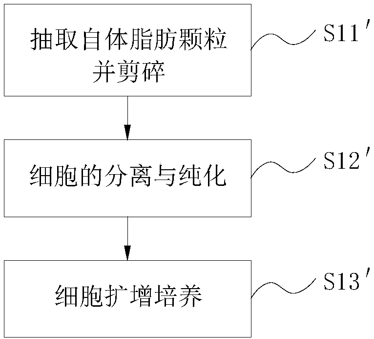 Isolated culture method as well as freeze storage and recovery method of mesenchymal stem cell