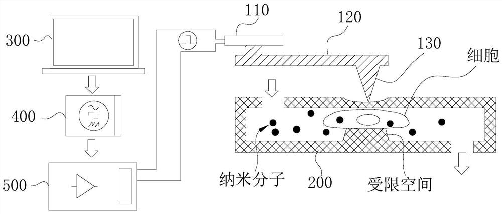 Cell transfection device, cell transfection method and micro-channel manufacturing method