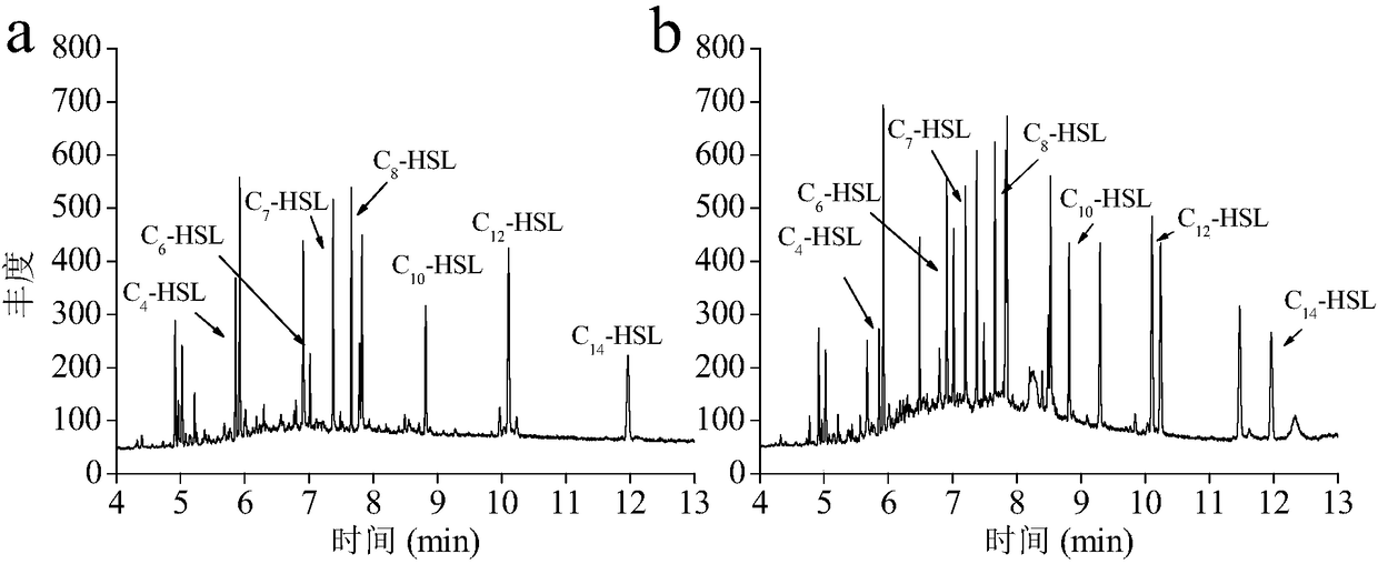 A method for the extraction and purification of acyl homoserine lactone in soil and its application