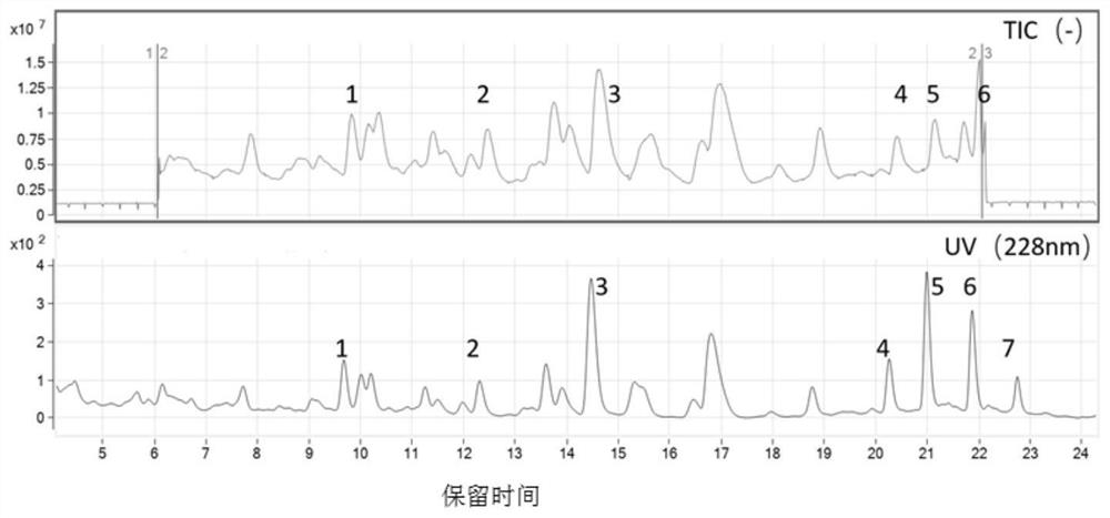 Trachelospermum jasminoides (Lindl.) Lem. characteristic chromatogram, construction method and quality control method thereof, Trachelospermum jasminoides (Lindl.) Lem. formula granules and preparation method thereof