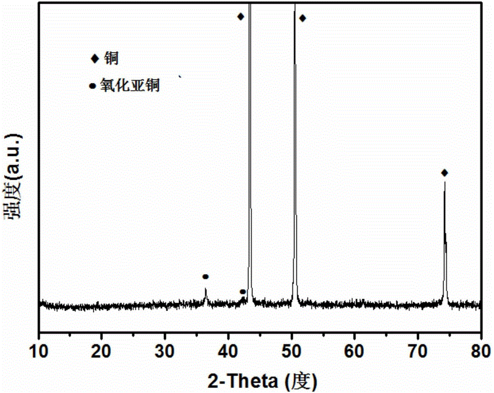 Photocatalytic oil-water separation net film, preparation method and application thereof