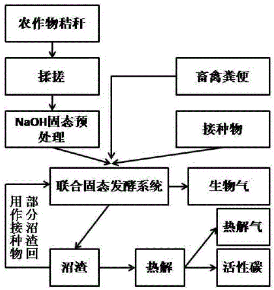 Method for producing biogas by combined solid state fermentation of crop straws and excrements of livestocks