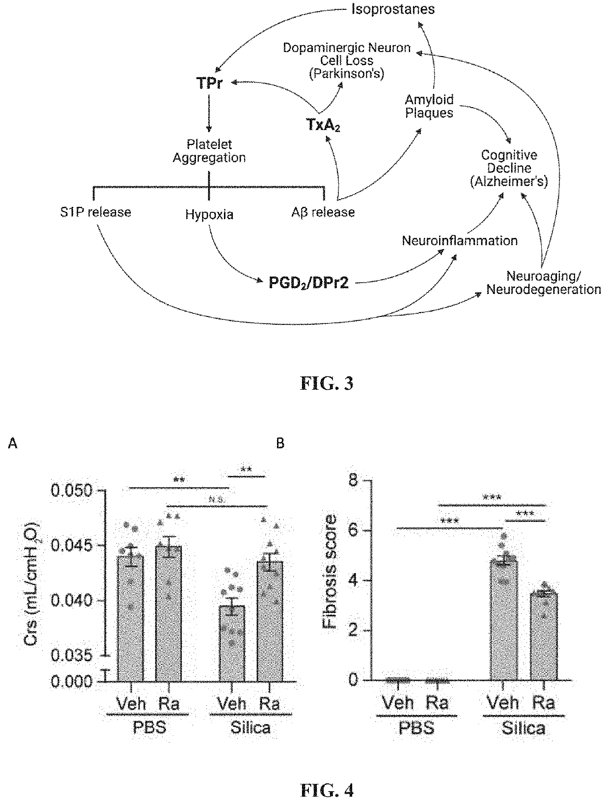 Dual antagonist of pgd2/dpr2 and thromboxane a2/tpr receptors and use for treatment of maladaptive immune response or thrombotic diathesis