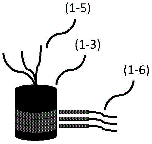 Computer body layer photographing method and device
