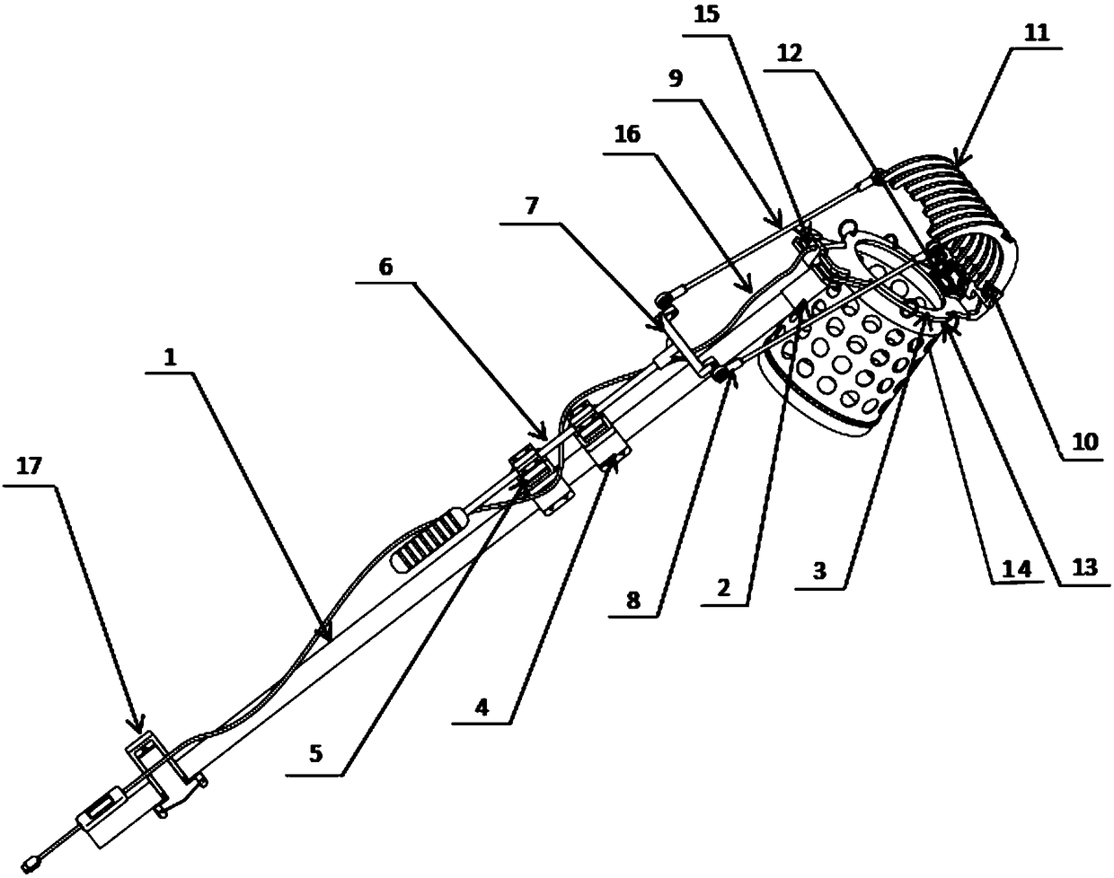 Auxiliary fruit picking device