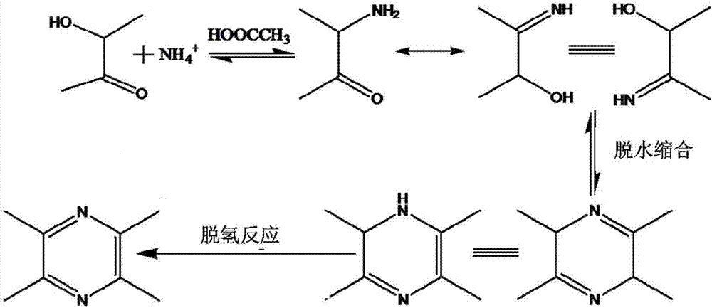 Method for increasing content of tetramethylpyrazine in edible vinegar