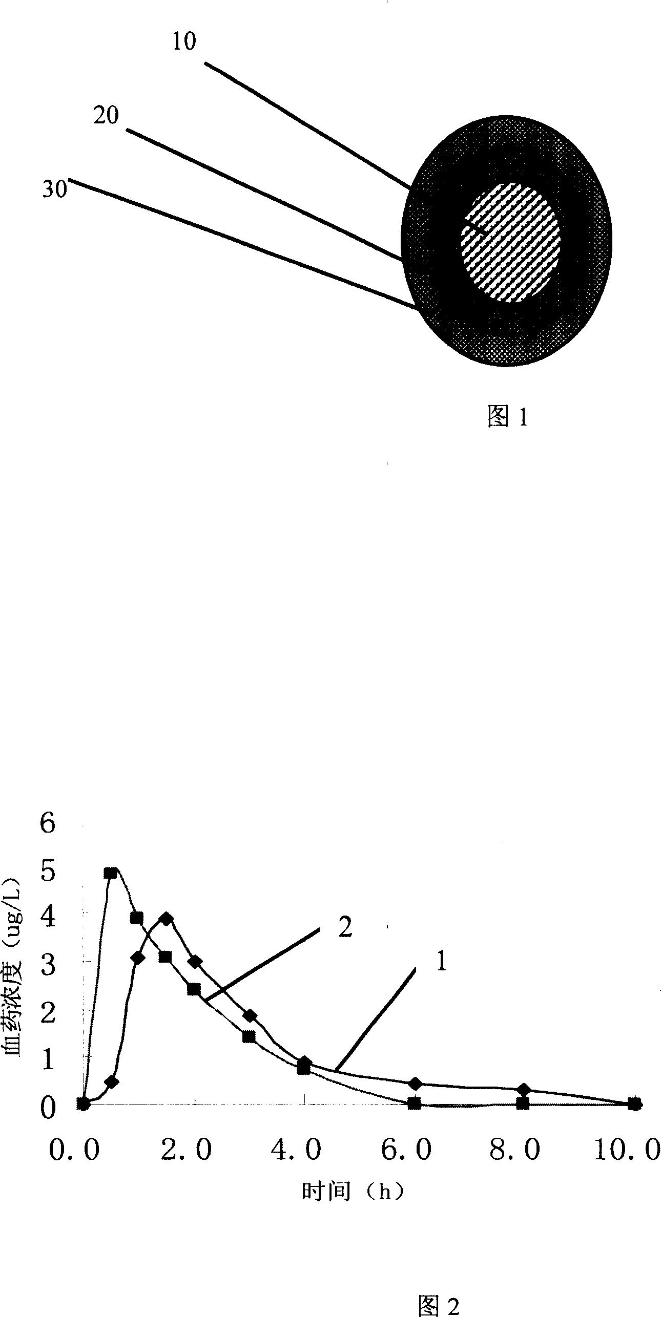Slow-release small pill prparation containing huperzine A and method for making same