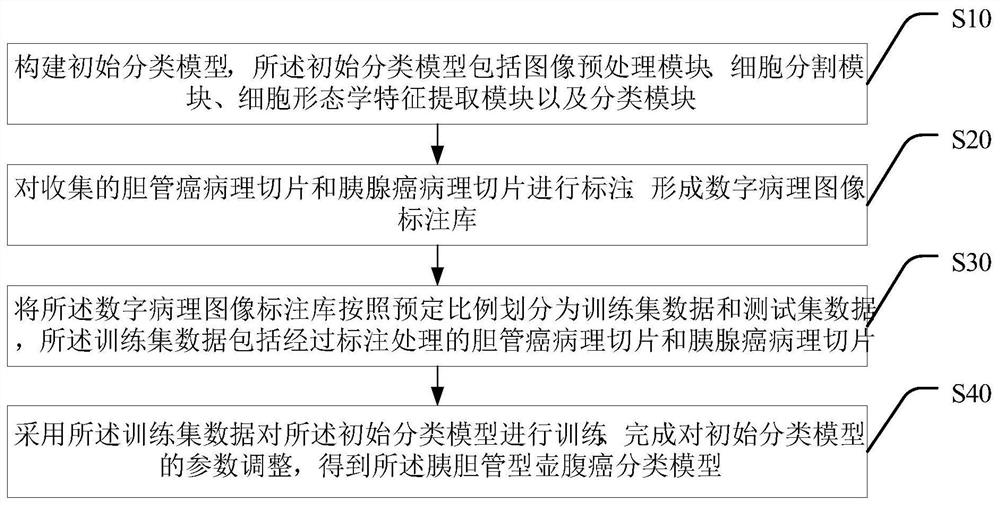 Pancreaticobiliary ampulla carcinoma classification model generation method and image classification method