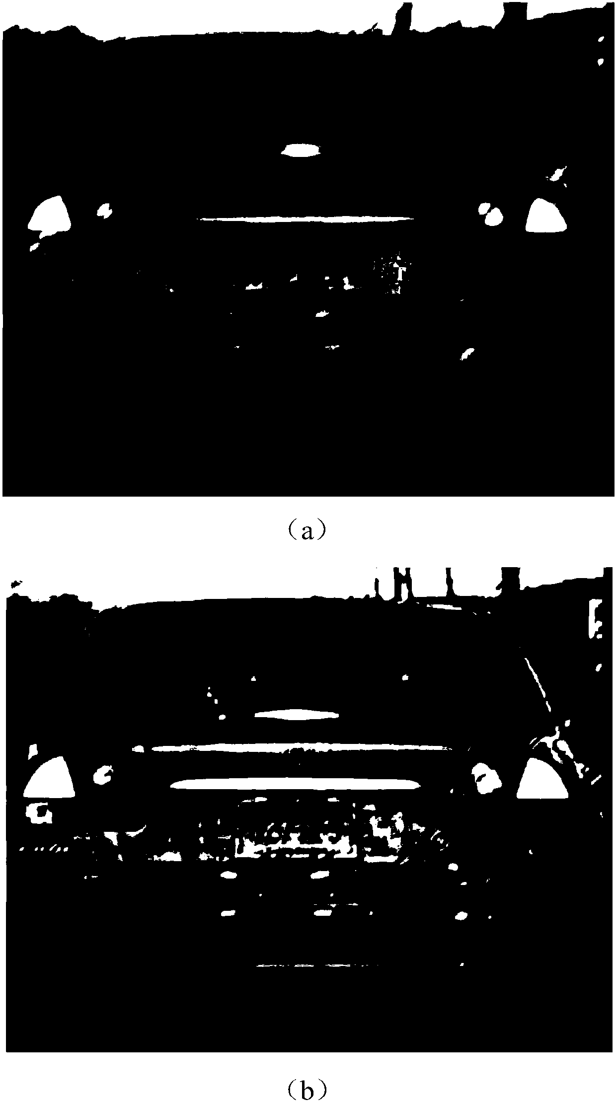 A method for blind motion blur removal of natural images based on l0 regularization