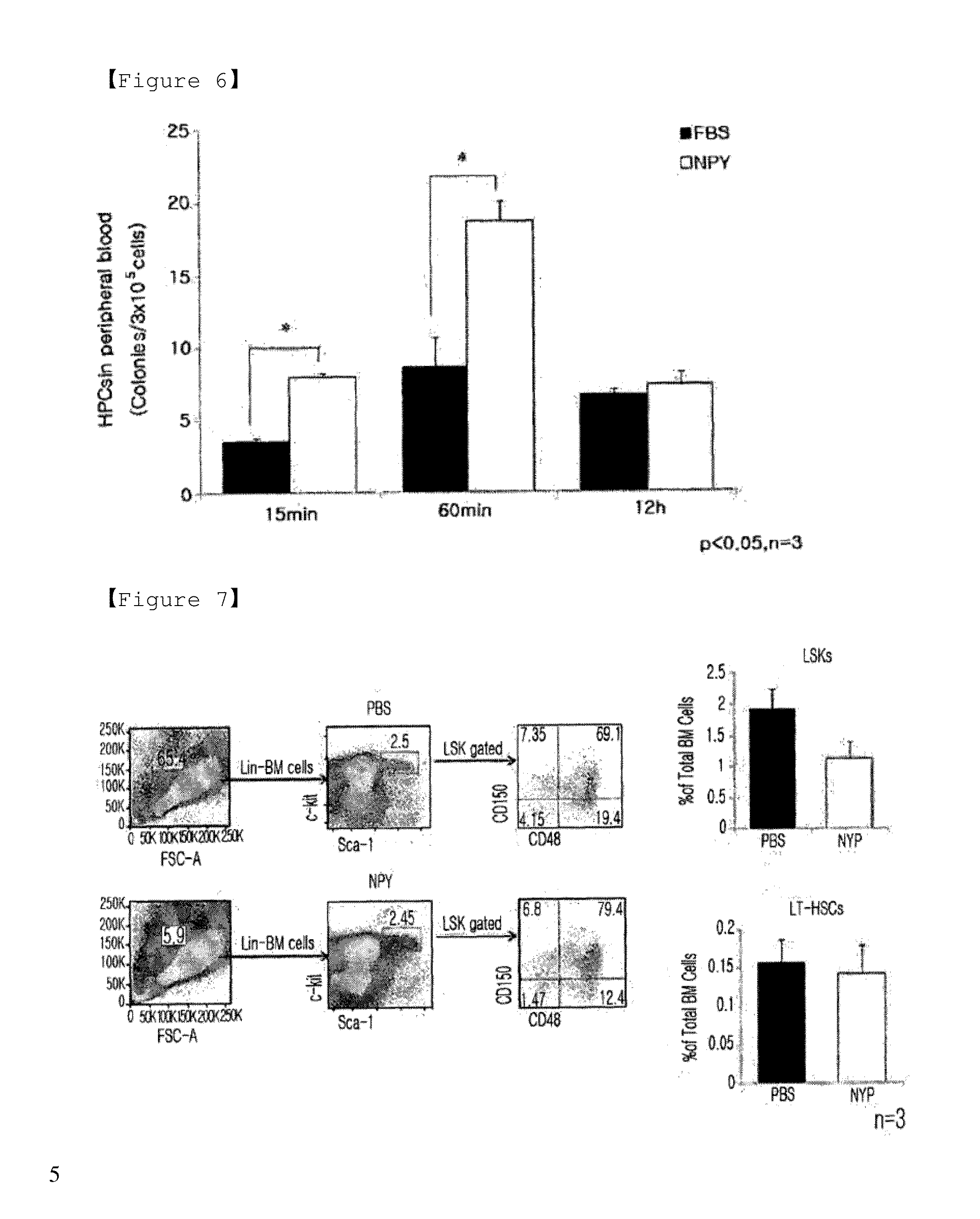 Pharmaceutical Composition for Preventing or Treating Osteoporosis Which Comprises Neuropeptide Y as Active Ingredient