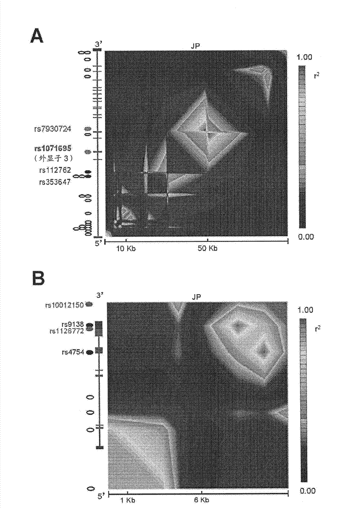 Methods for diagnosis and treatment of non-insulin dependent diabetes mellitus
