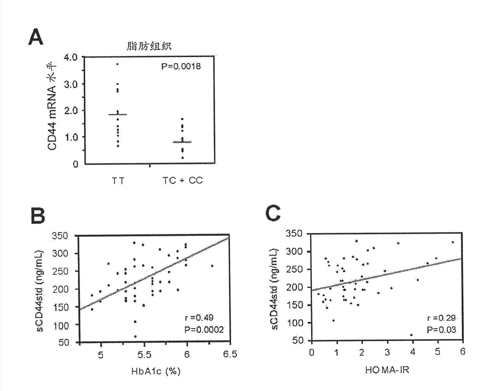 Methods for diagnosis and treatment of non-insulin dependent diabetes mellitus