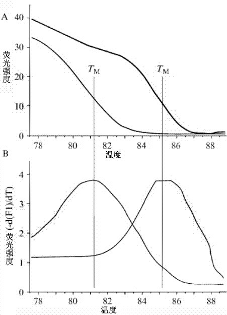 Molecular detection kit for determining resistance level of Escherichia coli to quinolone drugs based on high resolution melting curve