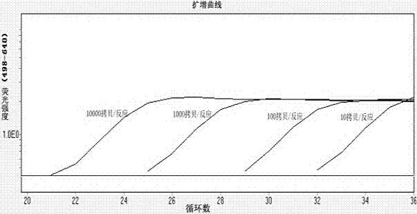 Molecular detection kit for determining resistance level of Escherichia coli to quinolone drugs based on high resolution melting curve