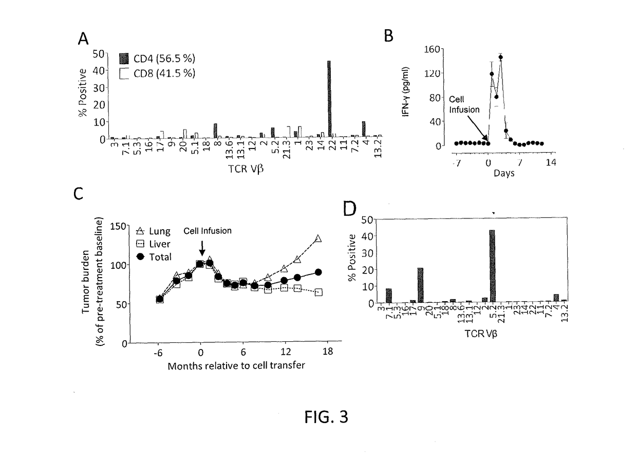 Methods of isolating t cell receptors having antigenic specificity for a cancer-specific mutation
