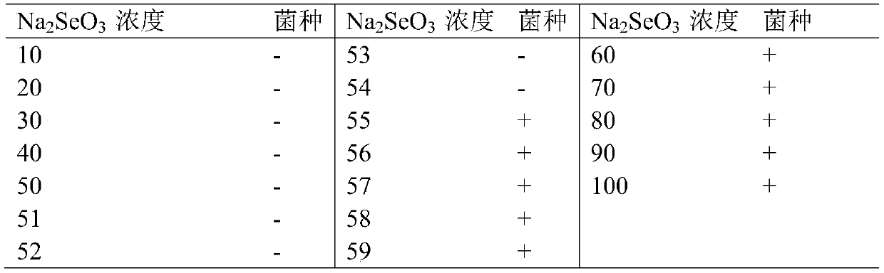 Lactobacillus reuteri and application thereof to production of selenium-enriched eggs