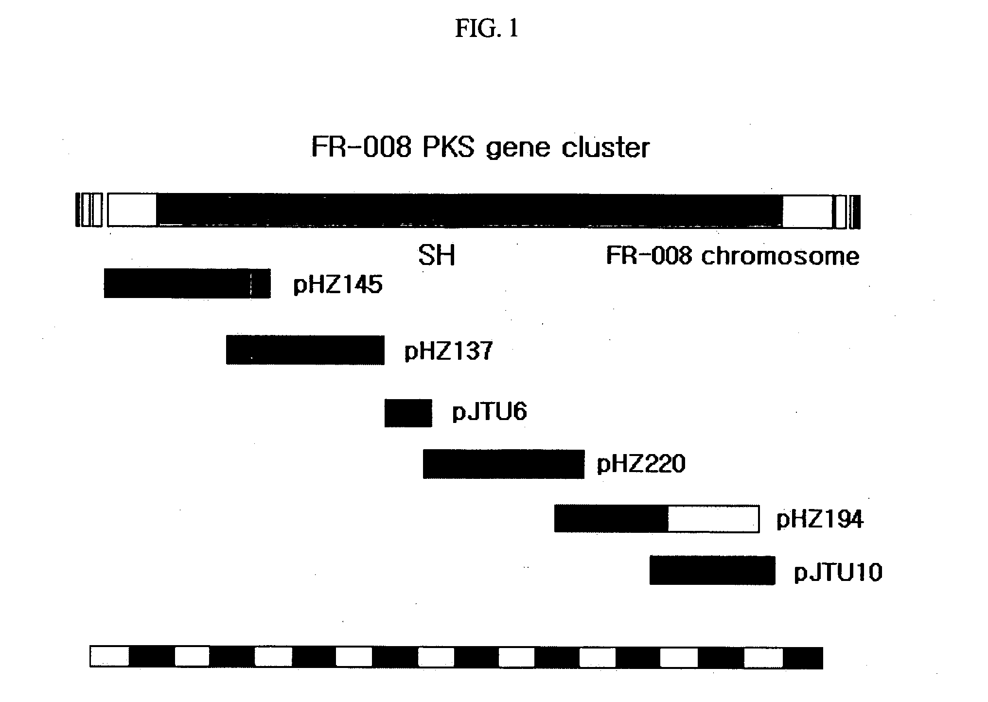 Genes for synthesis of FR-008 polyketides