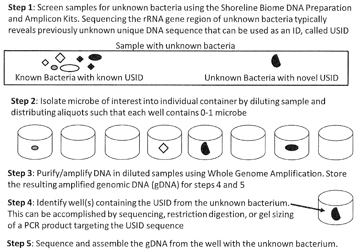 High throughput method for identification and sequencing of unknown microbial and eukaryotic genomes from complex mixtures