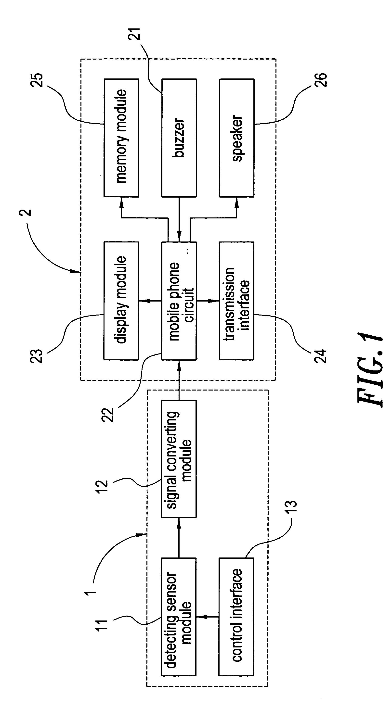 Earphone-type physiological function detecting system