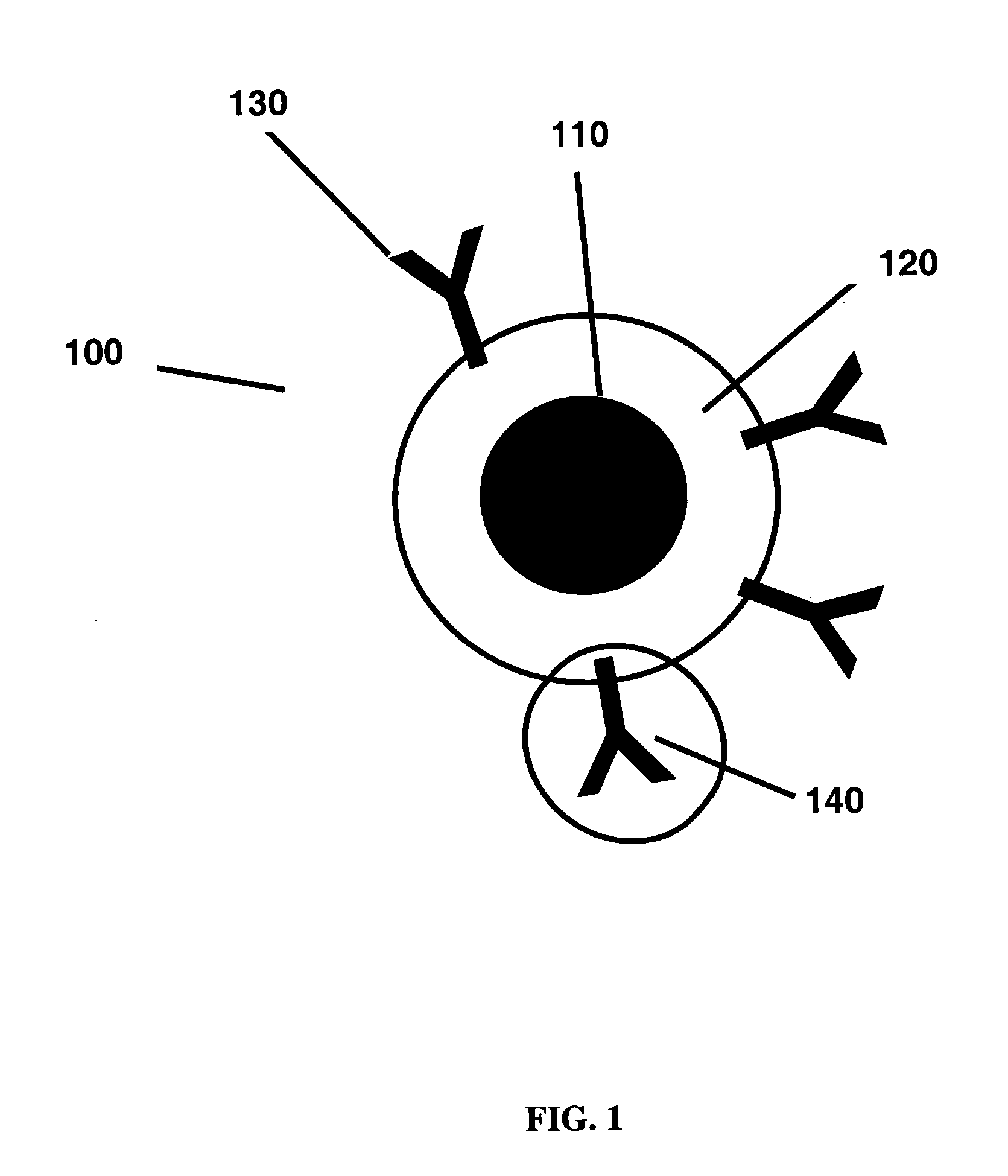 Magnetic nanoscale particle compositions, and therapeutic methods related thereto