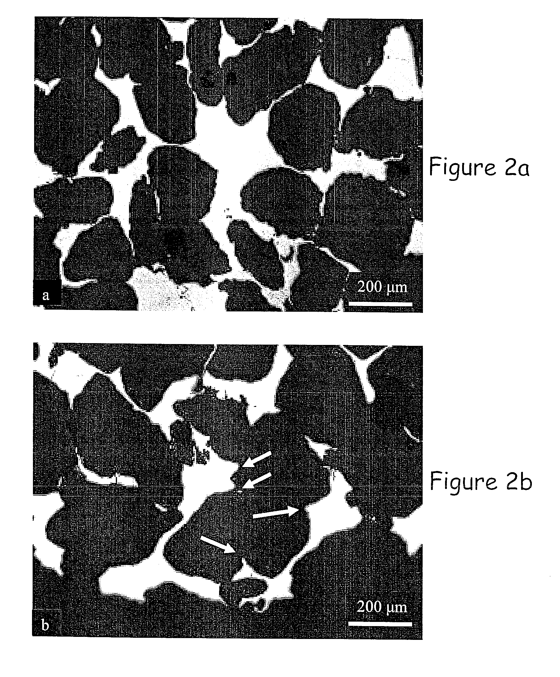 Magnetic material with large magnetic-field-induced deformation