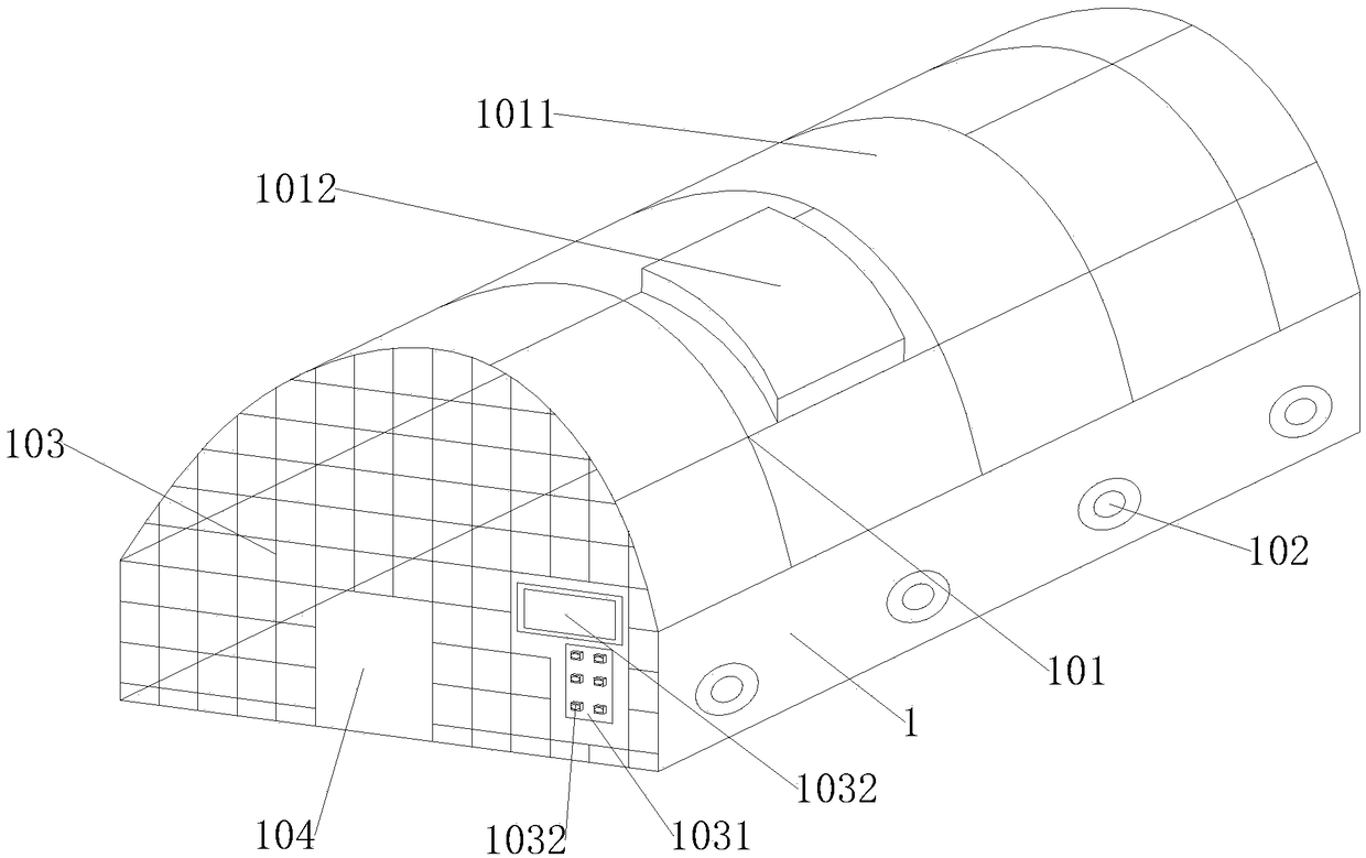 Greenhouse planting pattern for pawpaw