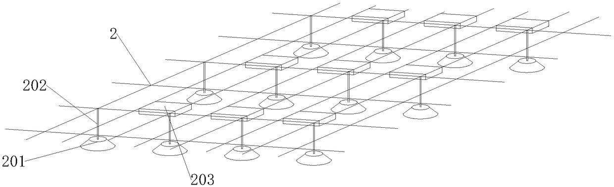 Greenhouse planting pattern for pawpaw