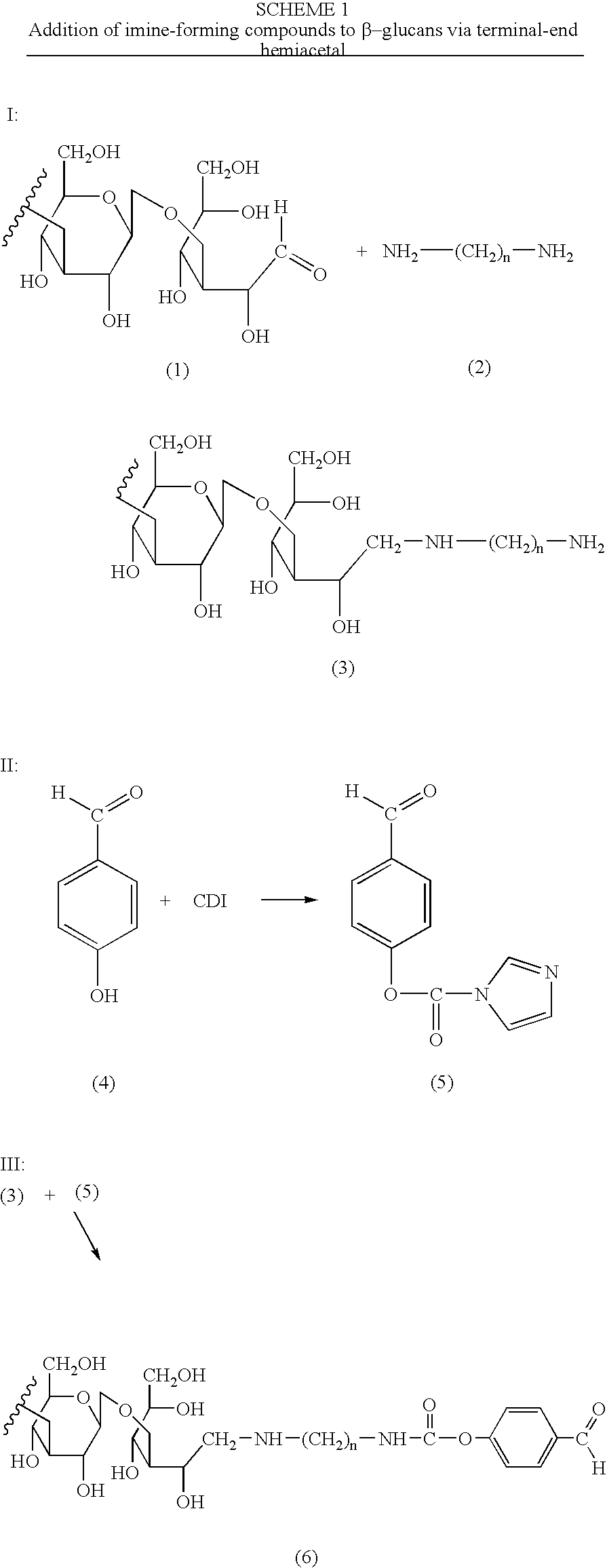 Imine-forming polysaccharide adjuvants and immunostimulants