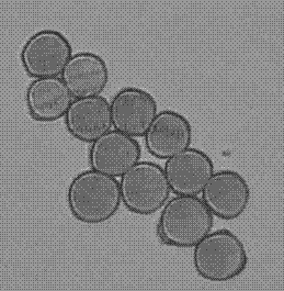 A kind of high-strength viscose fiber and its preparation method and application