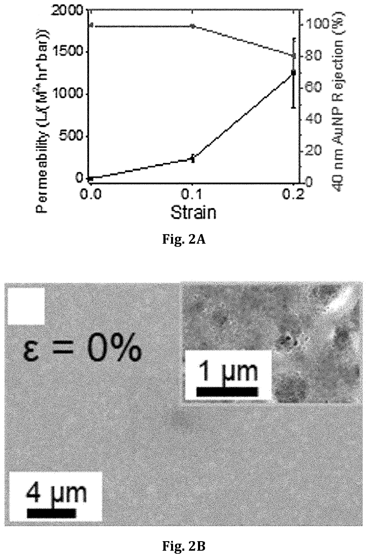 Block Copolymer Templated Crazing for Membrane Separation