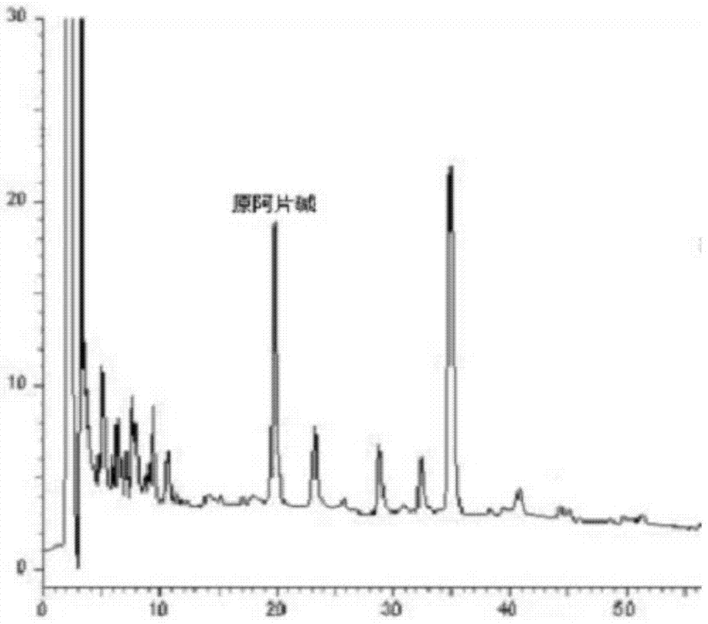 Detection method of corydalis impatiens medicinal material