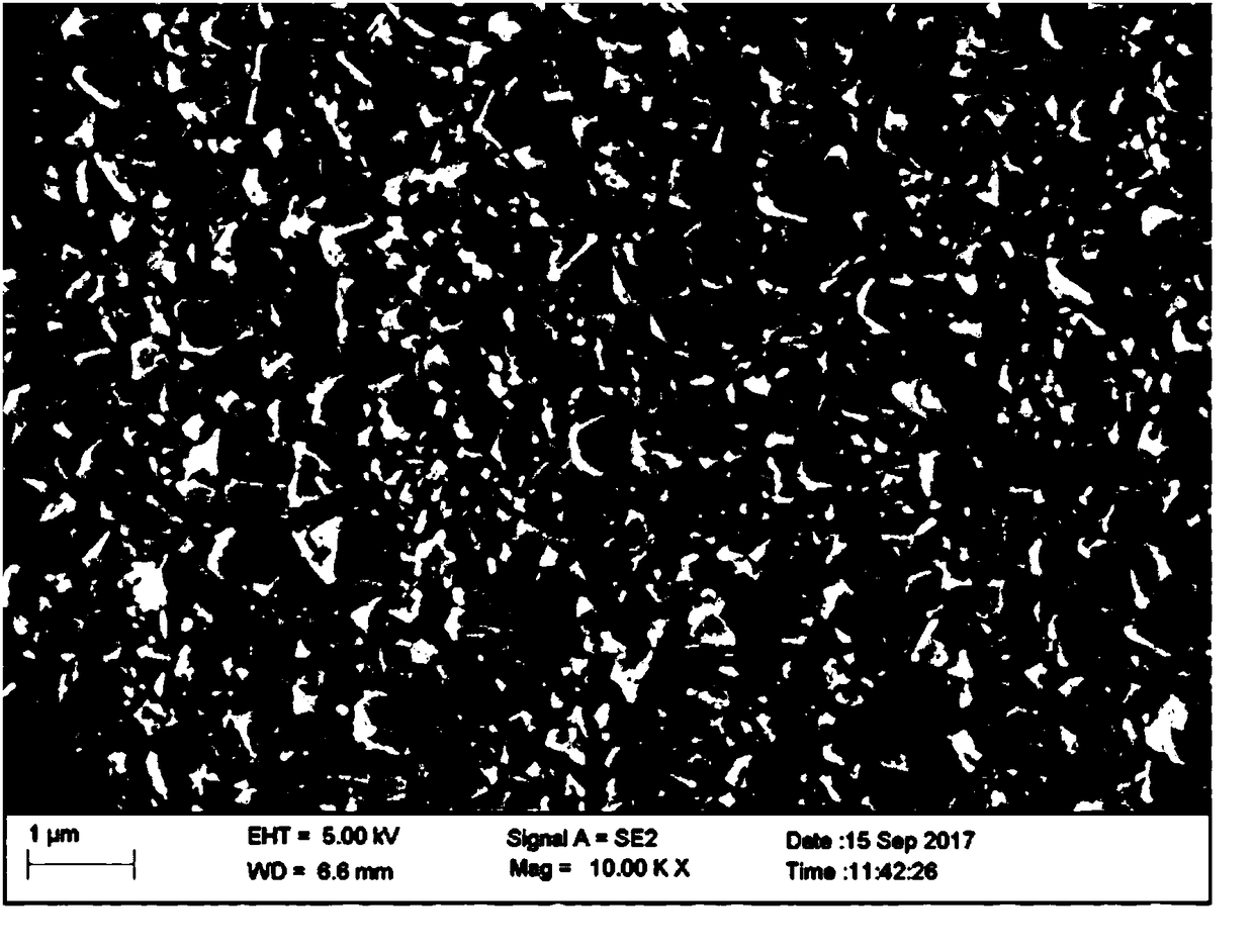 Lead peroxide electrode as well as preparation method and application thereof