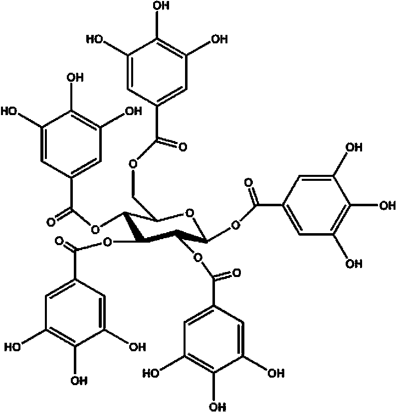 Application of pentagalloylglucose in medicines used for killing fish in-vitro ciliates